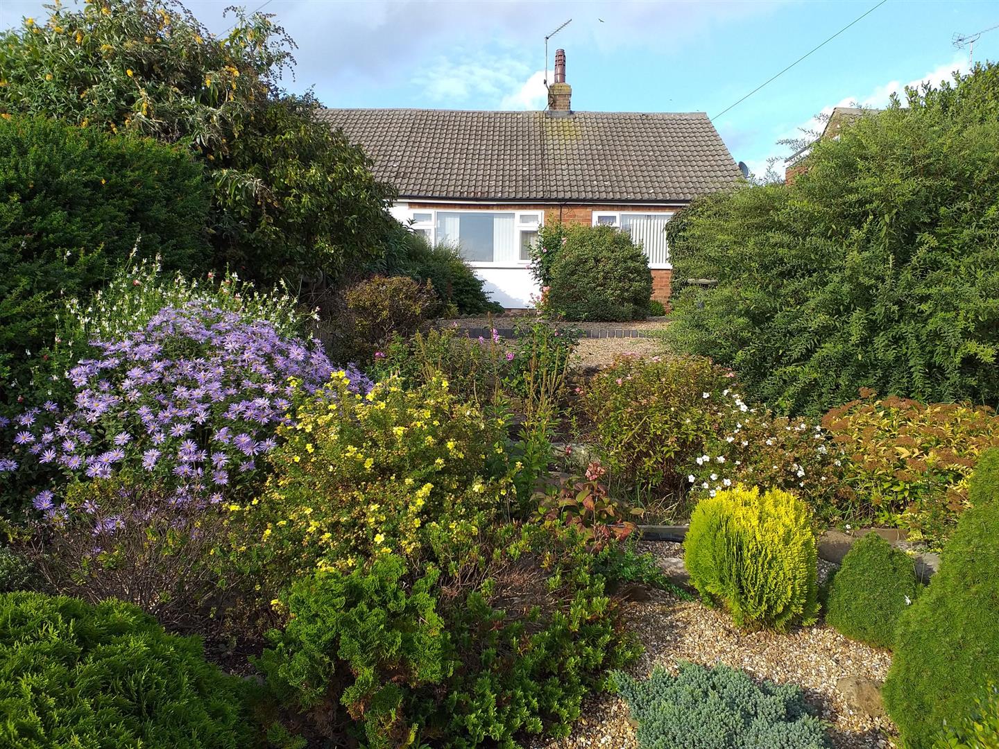 High Street, Bempton Belts Estate Agents